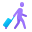 passenger-with-baggage